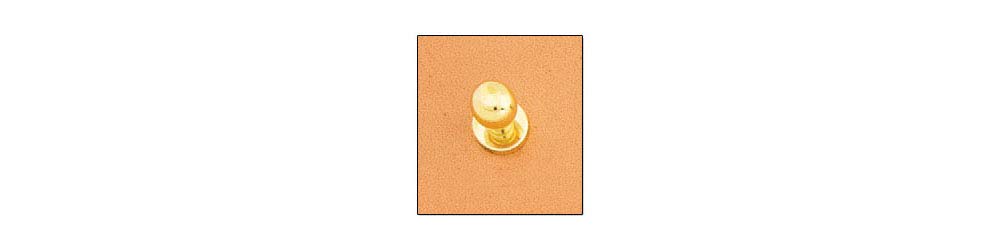 Tandy Leather Button Stud 3/8 (10mm) Screwback Nickel Free Brass Plate 11311-01