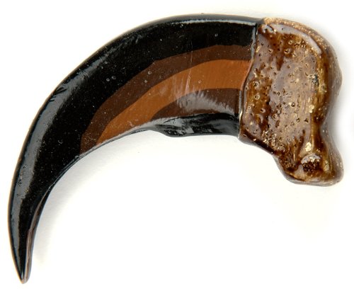 Leather Factory Resin Bear Claw - in your choice of size