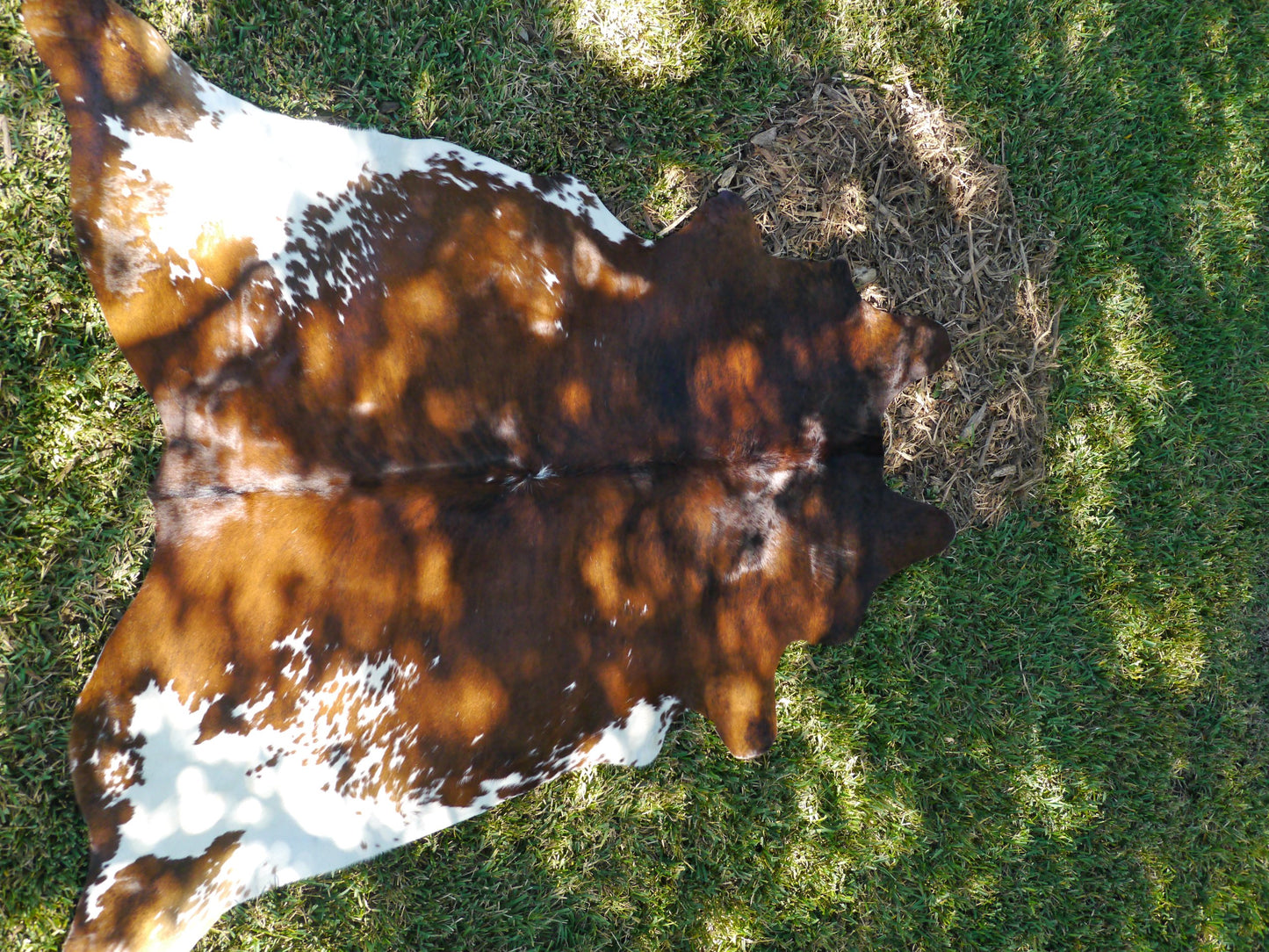Natural Brazilian Brindle Cowhide