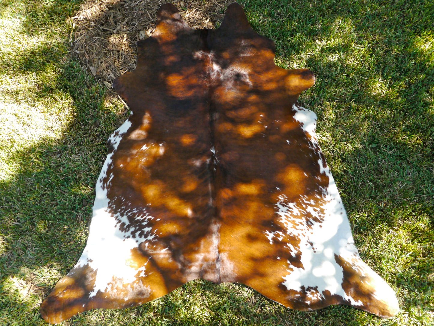 Natural Brazilian Brindle Cowhide